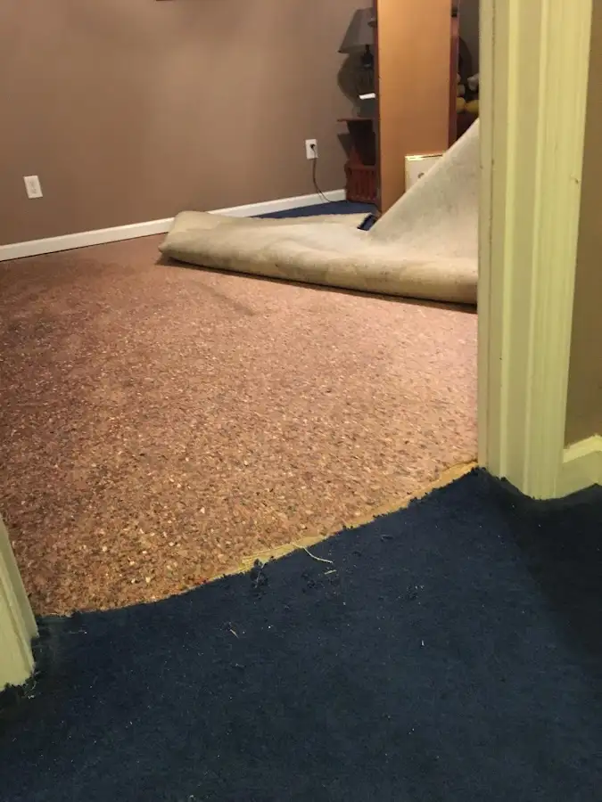 Carpet pad removal revealing water damage during Drying & Dehumidification in Grayslake