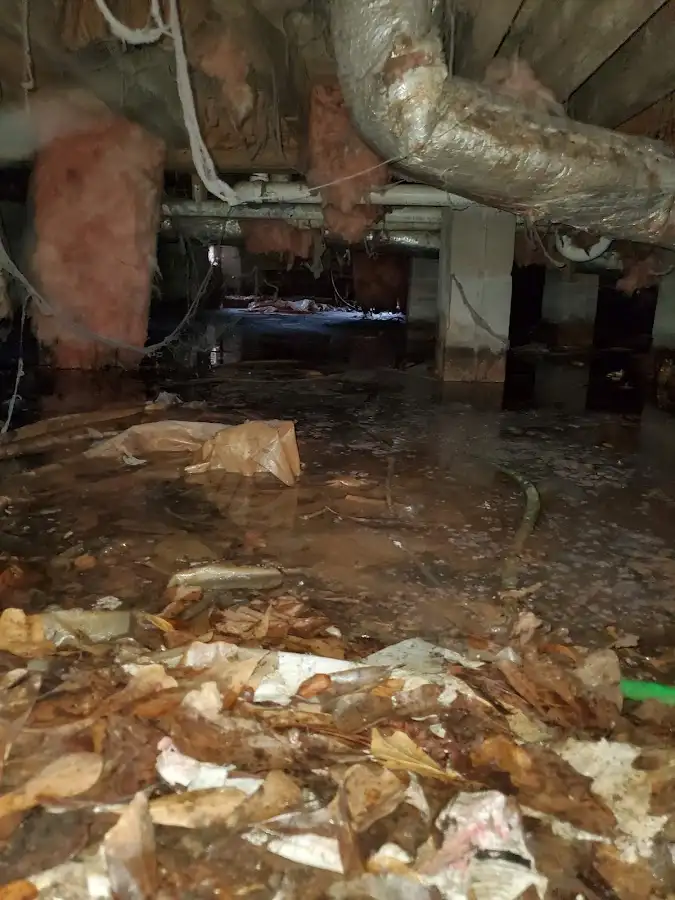 Crawl space flood assessment for Leak Detection & Repair in Grayslake