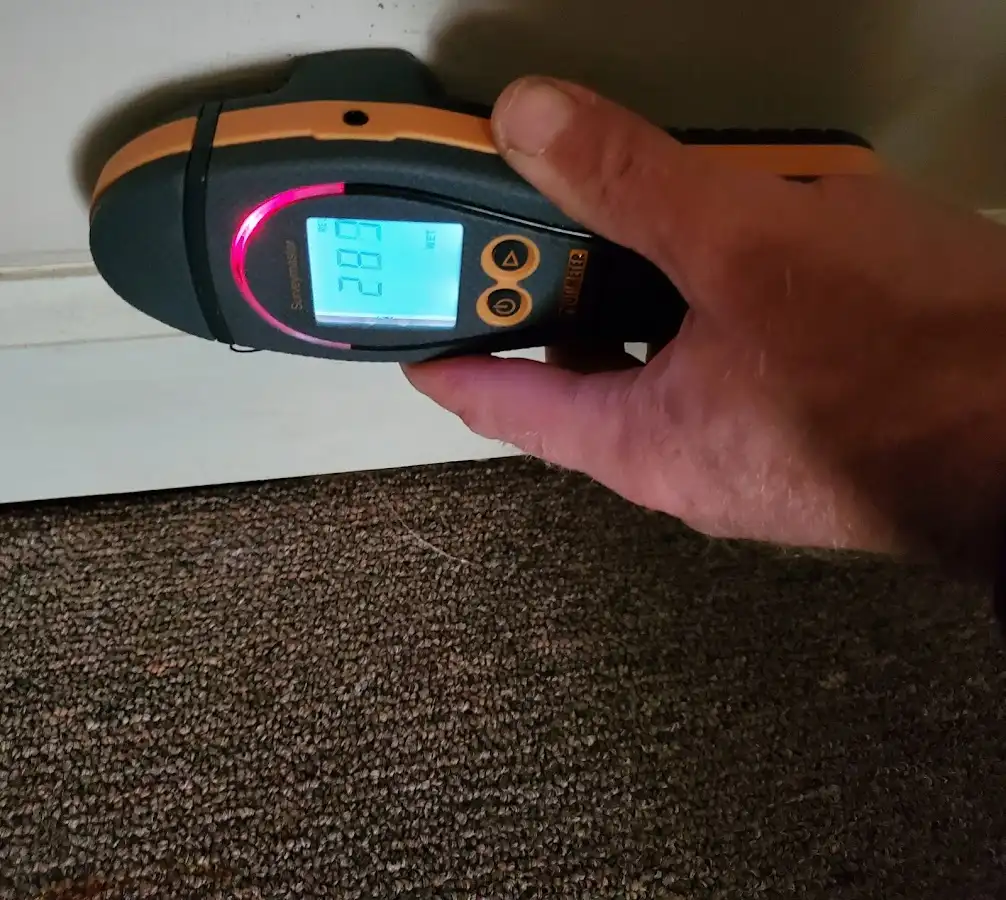 Moisture detection at baseboard during Sewage Cleanup & Sanitation in Grayslake